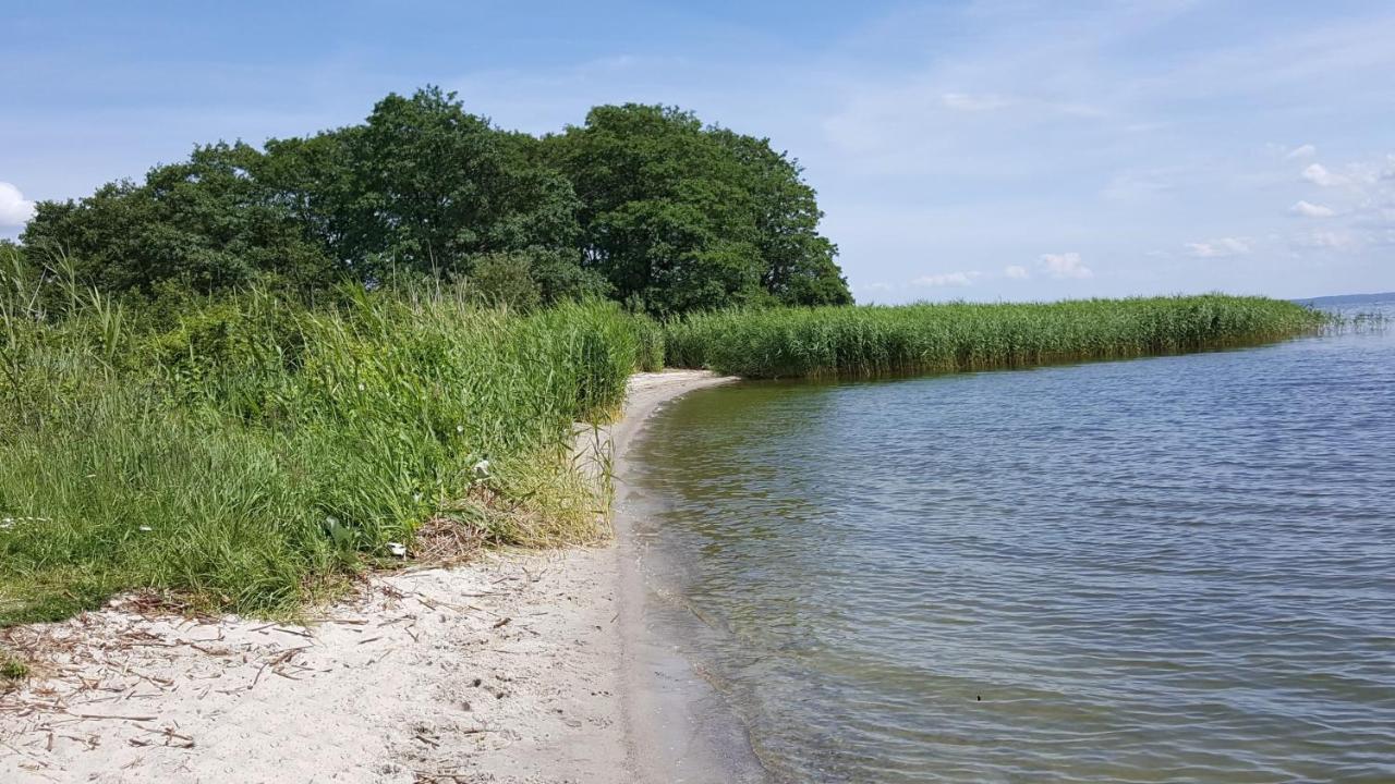 Ferienhaus "Biberburg Am Haff" Garz  Eksteriør bilde